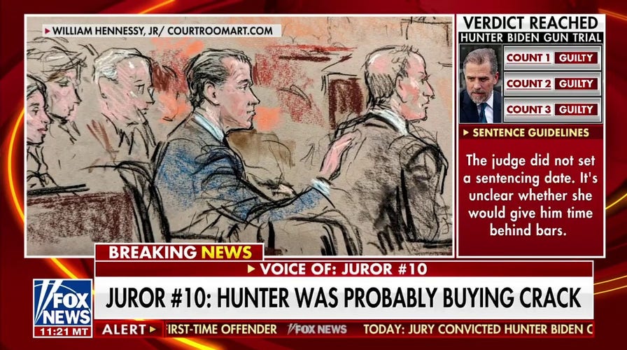 Hunter Biden juror speaks out after guilty verdict: 'Politics played no part in this'