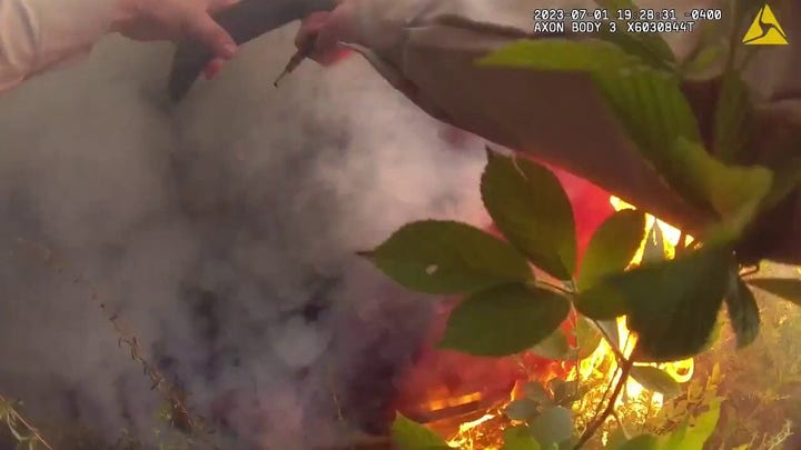 Georgia deputy rescues woman trapped in burning car