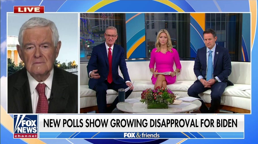 Newt Gingrich: Biden’s Build Back Better plan is a ‘direct assault’ on America’s standard of living