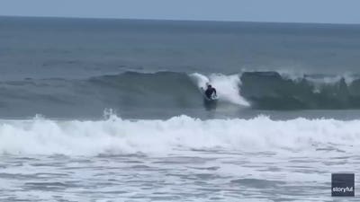 Great white shark bursts from ocean just yards from a boogie boarder
