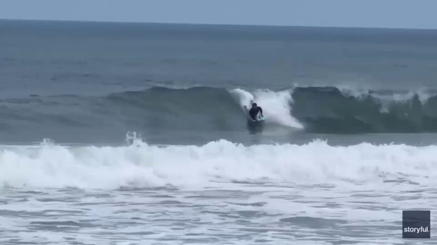 Great white shark bursts from ocean just yards from a boogie boarder