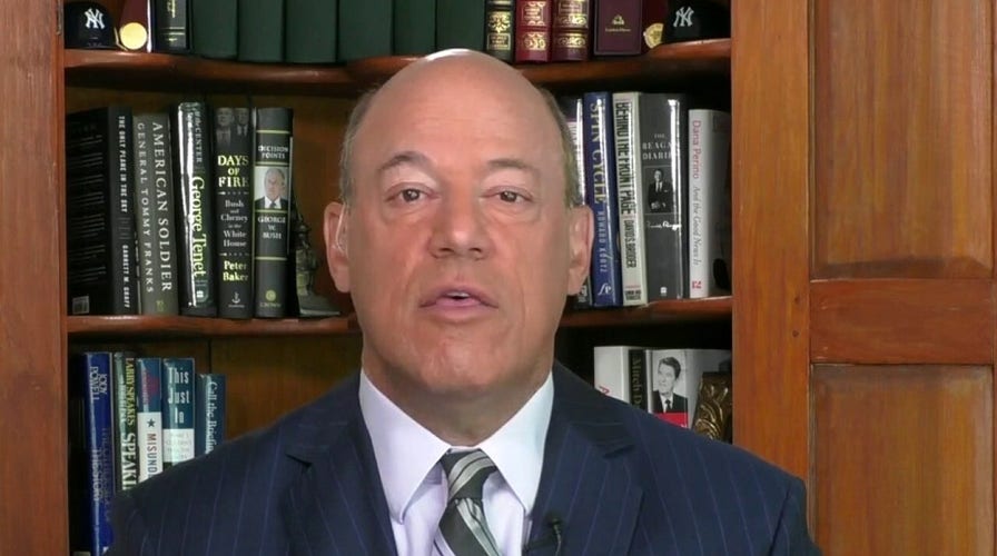 Ari Fleischer: Dems allowed lawlessness to spread, taking side of criminals