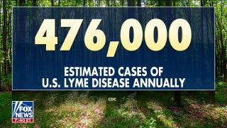 Tick-borne illnesses surge across US