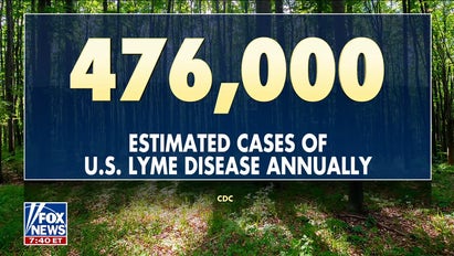 Tick-borne illnesses surge across US