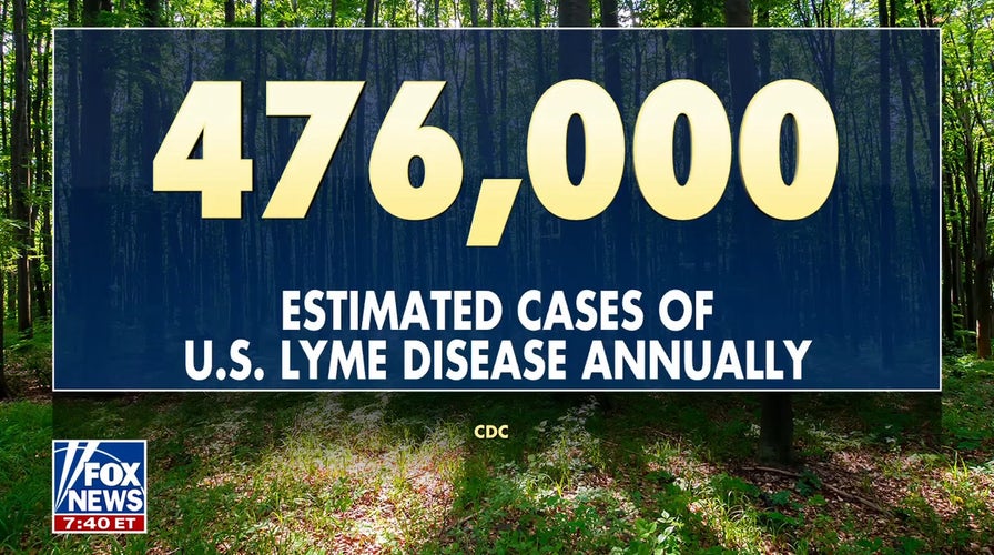 Tick-borne illnesses surge across US