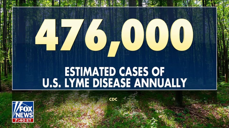 Tick-borne illnesses surge across US