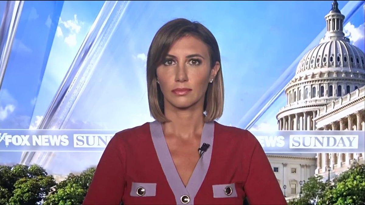 Alina Habba: Trump indictment is an effort to ‘tie him up’ for 2024
