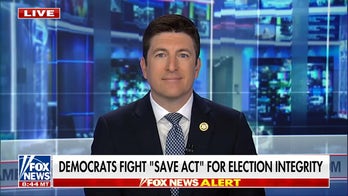 Democrats fight 'SAVE Act' for election integrity, Rep. Steil responds to Schumer's stance