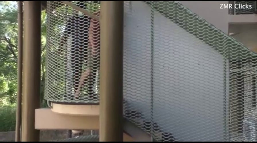 Bradley Dawson arrives at court in Fiji