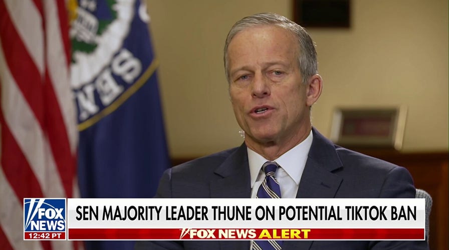 Sen. John Thune: Trump will be in a position to influence the TikTok decision