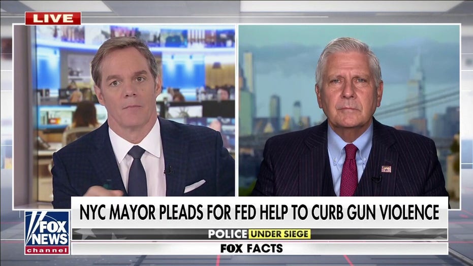 Nassau County official on NYC crime surge: 'Criminals have more rights than victims and officers'