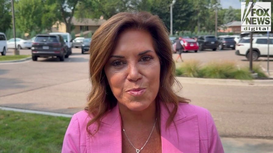 Michele Tafoya vows to fight socialism in Minnesota: ‘Does not work’