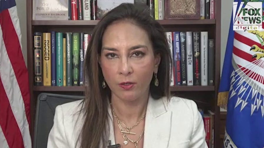 EXCLUSIVE DOJ’s Harmeet Dhillon details wave of second amendment lawsuits says strategy aims to expand gun rights