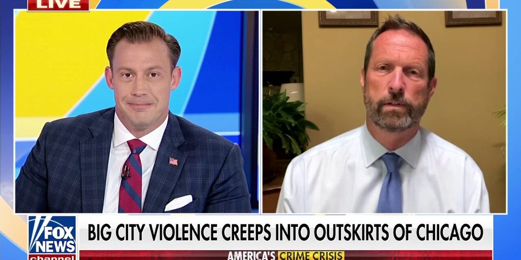 Illinois SAFET Act 'anything other than safe' New Lenox mayor Fox