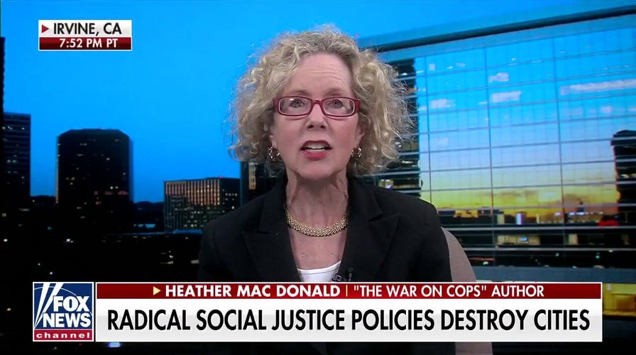 ‘The War on Cops’ author rips radical social justice policies emboldening criminals: US could descend into ‘anarchy’