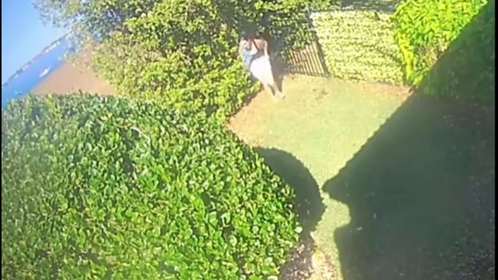 Florida woman caught on camera relieving herself in homeowner's hedges