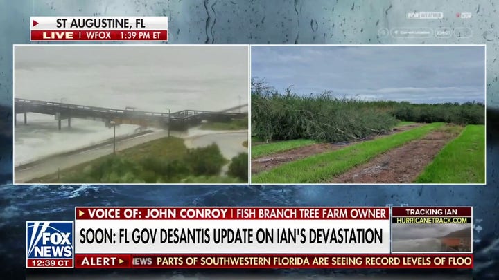 Tree Farmer shares how he is dealing with Hurricane Ian's devastation