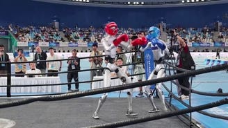 Robots duke it out at World Humanoid Robot Games in China