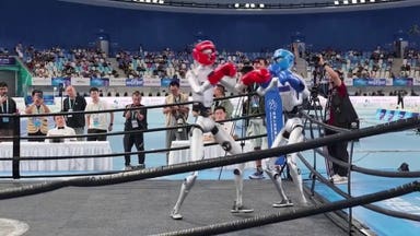 Robots duke it out at World Humanoid Robot Games in China