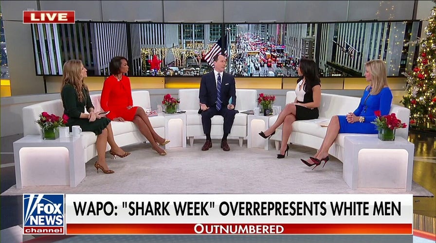  Washington Post roasted for 'Shark Week' criticism: Like saying 'Housewives' has too many women