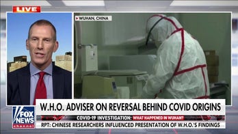 Jamie Metzl: Expert committee 'essentially lied' about lab leak as part of 'deal' with China