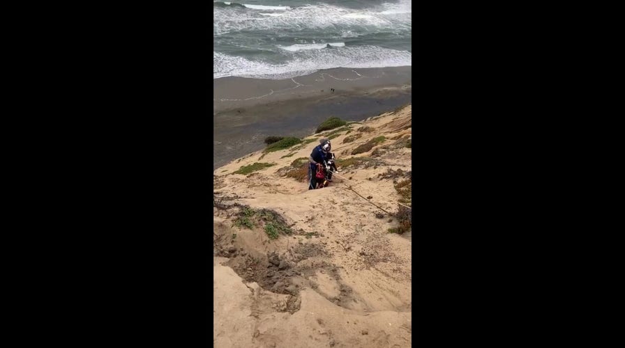 Dogs rescued from daunting cliff in San Francisco 