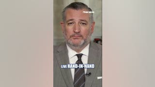 Ted Cruz: La Constitución te da la respuesta