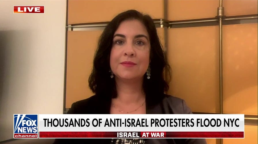 Palestinian people are ‘suffering’ because of Hamas: Rep. Nicole Malliotakis