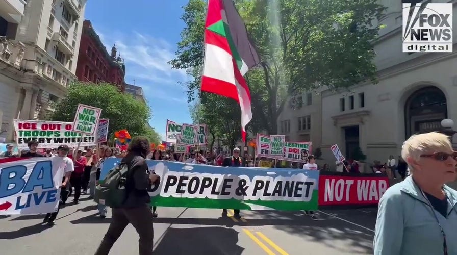 Iranian regime flags highlight ‘red-blue-green’ alliance at DC protest