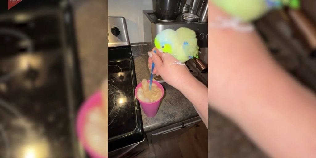 Chatty parrot helps owner make morning iced coffee in silly daily ritual