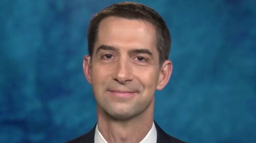 Georgians will not allow Democrats to radically change America: Sen. Tom Cotton