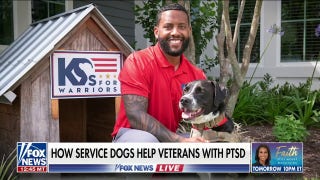 Army Veteran David Crenshaw on how his service dog helped him combat PTSD - Fox News