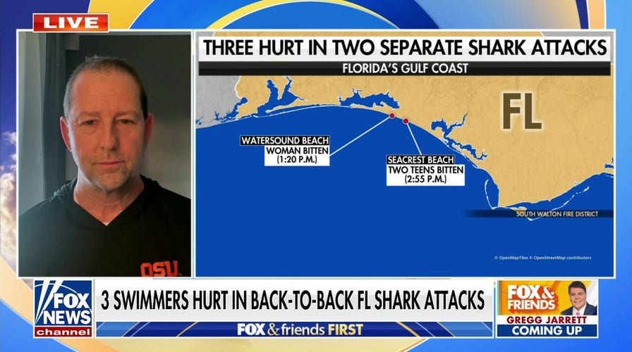 Back-to-back shark attacks leave Florida beachgoers injured, others on high alert