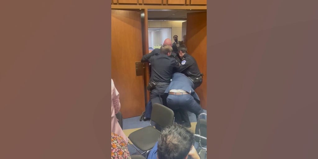WATCH: Navy SEAL-turned senator tackles 'unhinged' protester during chaotic hearing
