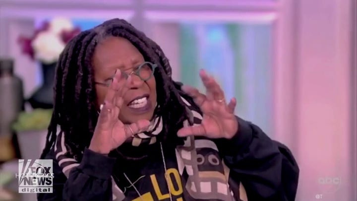 ‘The View’ co-hosts debate DeSantis moves against CRT, DEI in schools