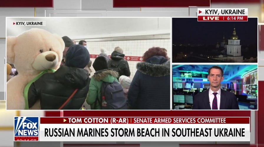 Tom Cotton says Biden's new sanctions 'not even a half-measure'