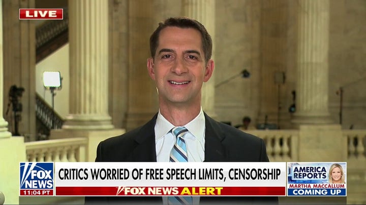 Tom Cotton: Congress needs to make sure disinformation board never happens again