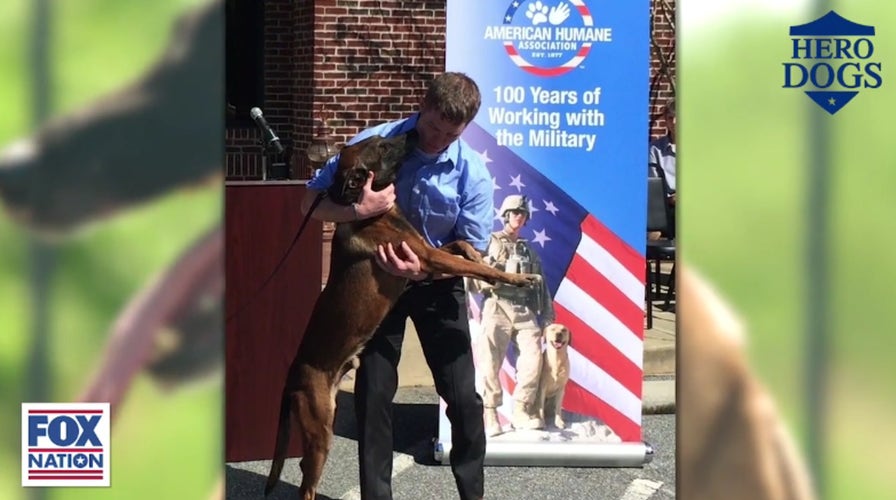 This hero dog charged towards 'certain doom' to protect American soldiers