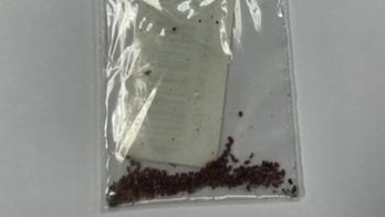 Officials sound the alarm after Americans receive unsolicited seed packets from China