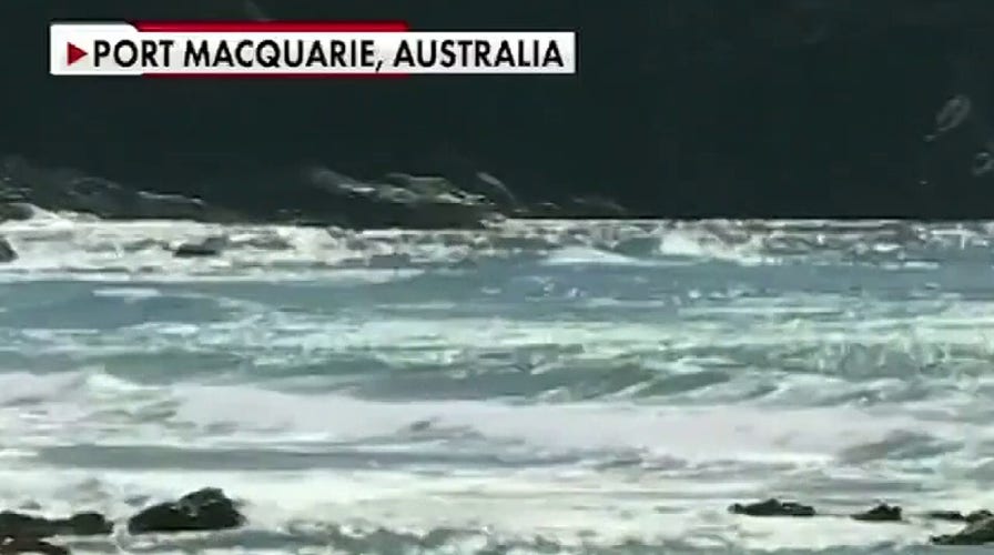 Man punches great white shark to save wife in Australia