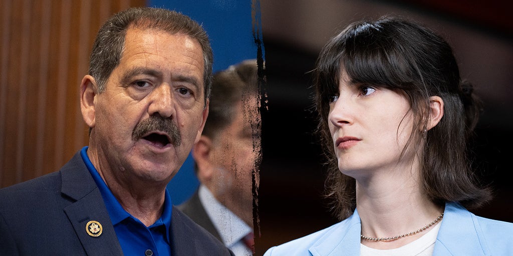 House Dems clash on election processes, 'subversion is always wrong'