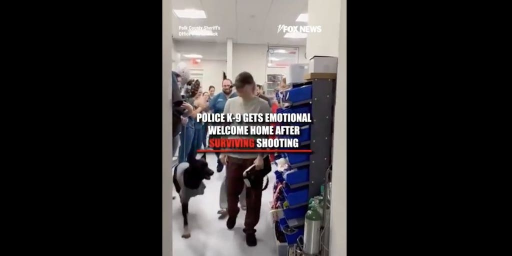 K-9 gets a hero’s welcome