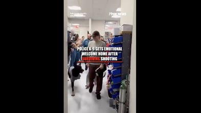 K-9 gets a hero’s welcome