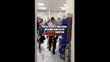 K-9 gets a hero’s welcome