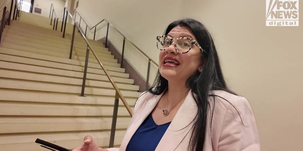 Lawmakers react to the anti-ICE riots in Los Angeles