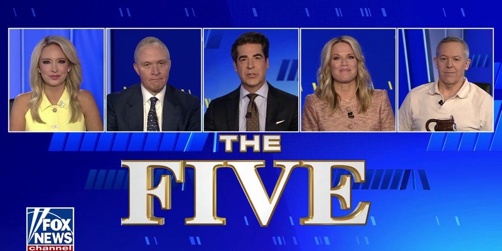 Kayleigh McEnany: El-Sayed doesn't have what Mamdani has