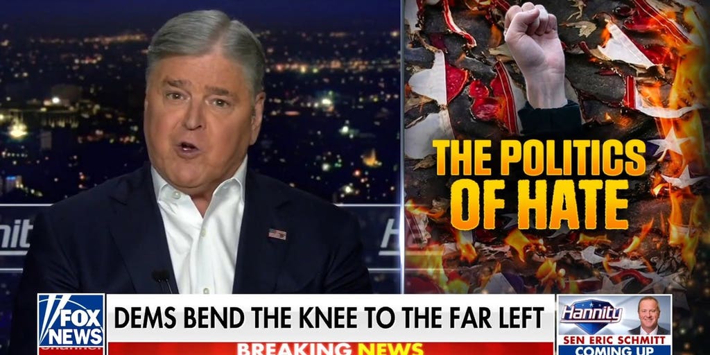 Sean Hannity: These 'lunatics' want to try to burn our country to the ground