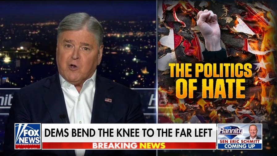 Sean Hannity: These 'lunatics' want to try to burn our country to the ground