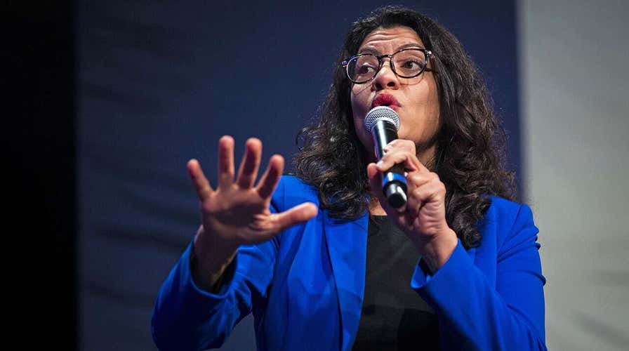 ‘Squad’ member Rep. Tlaib pens op-ed doubling down on leftist proposals 