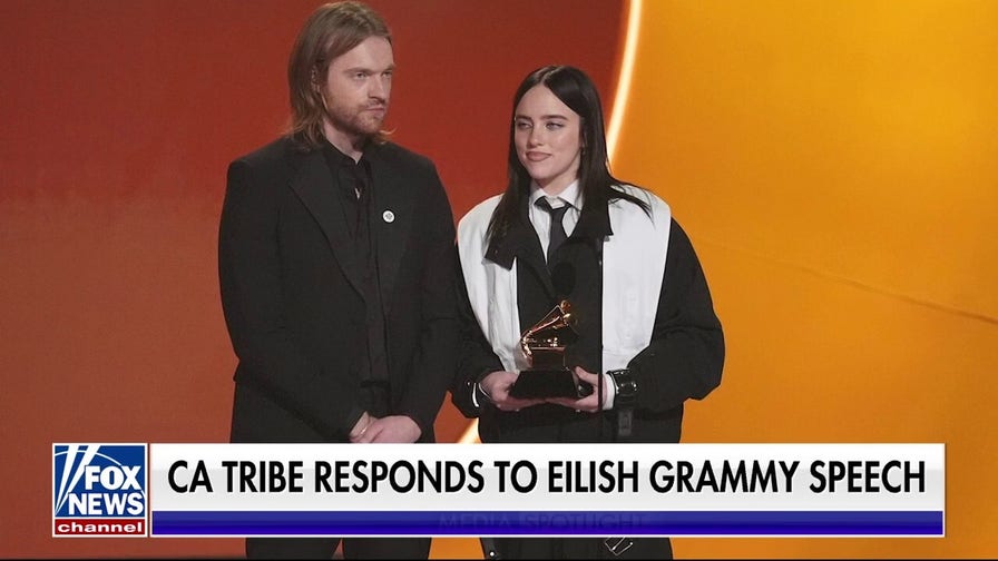 Billie Eilish had the 'audacity' to call out ICE during Grammys speech, journalist says